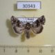 30343p-Noctuidae-Calophasia-lunula-Krasnoyarsk-reg.-5