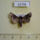 32798p Noctuidae Fletcherea pratti Madagascar $7