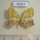 40953p-Geometridae-Epigynopteryx-commixta-Uganda-6