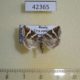 42365p-Noctuidae-Deltote-bankiana-Tyva-rep.-5