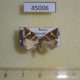 45006p-Noctuidae-Deltote-bankiana-Primorye-6
