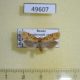 49607p-Moth-sp.-Krasnoyarsk-reg.-5