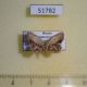 51782p-Uraniidae-Dysaethria-erasaria-Primorye-6