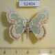 52404p-Geometridae-Eucyclodes-sanguilineata-Vietnam-7