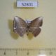 52801p-Drepanidae-Microblepsis-leucosticta-Vietnam-5