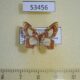 53456p Geometridae Eois isographata Dominicana $5