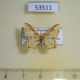 53511p Geometridae Eois isographata Dominicana $5