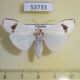 53733p Arctiidae Vamuna remelana Vietnam $6