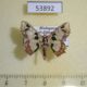 53892p-Geometridae-Archichlora-sp.-Madagascar-9
