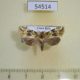 54514p-Noctuidae-Chytonix-mniochroa-Costa-Rica-5