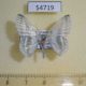 54719p-Geometridae-Epigelasma-meloui-Madagascar-7