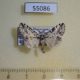 55086p-Lymantridae-Porthesaroa-lithoides-Madagascar-6