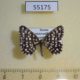 55175p-Geometridae-Chiasmia-clathrata-Krasnoyarsk-reg.-4