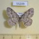 55209p-Geometridae-Ectropis-crepuscularia-Krasnoyarsk-reg.-4