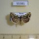 55381p-Noctuidae-Acontia-trabealis-Tyva-rep.-6