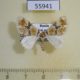55941p Geometridae Gagitodes sagittata Kazakhstan $7