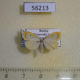 56213p Arctiidae Miltochrista pallida Primorye $6