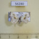 56280p Drepanidae Cilix filipjevi Primorye $5
