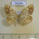 56284p Geometridae Exangerona prattiaria f Primorye $4