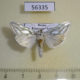 56335p Noctuidae Cucullia argentea Primorye $20