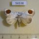 56538p Noctuidae Sphragifera sigillata Primorye $5
