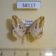 58117p Geometridae Chiasmia subcurvaria Uganda $9