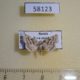 58123p Noctuidae Eublemma pusilla Tyva rep. $8