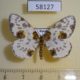 58127p Geometridae Abraxas sylvata Tyva rep. $5