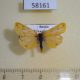 58161p Arctiidae Setina roscida Tyva rep. $5