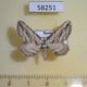 58251p Geometridae Horisme aquata Tyva rep. $4