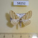 58252p Geometridae Scopula albiceraria Tyva rep. $4