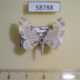 58788p Geometridae Tyloptera bella Primorye $4