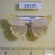59279p Arctiidae Cybosia mesomella Khakassia rep. $5