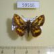 59516p Hesperidae Potanthus ganda ganda Vietnam $6