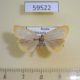 59522p Arctiidae Cybosia mesomella Khakassia rep. $5
