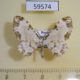 59574p Geometridae Tyloptera bella f Primorye $6
