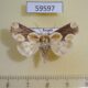 59597p Noctuidae Cymatophoropsis trimaculata Primorye $6