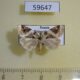59647p Noctuidae Pseudeustrotia candidula Primorye $5