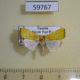 59767p Noctuidae Earias biplaga Uganda $10