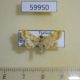 59950p Crambidae sp. Thailand $3