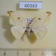 60163p Drepanidae Callidrepana gemina Vietnam $6