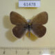 61478p Satyridae Coenonympha mahometana Kazakhstan $10