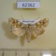 62362p Noctuidae Hadena irregularis Kazakhstan $9