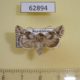 62894p Noctuidae Calophasia lunula f Kazakhstan $5