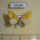 63284p Geometridae Cidaria distinctata Khazakhstan $5