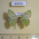 63555p Geometridae Comibaena esmeralda Uganda $5