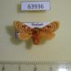 63936p Limacodidae Demonarosa rufotessellata f Thailand $12