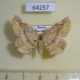 64257p Geometridae Apeira syringaria f Primorye $5