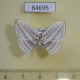 64695p Uraniidae Acropteris iphiata Thailand $7