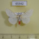 65342p Arctiidae Lemyra boghaika Primorye $5